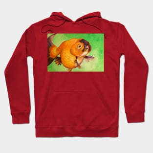 Bobby the Goldfish! Hoodie